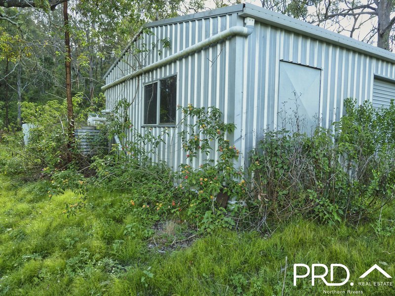 Photo - Lot 173 Gradys Creek Road, Loadstone Via , Kyogle NSW 2474 - Image 11