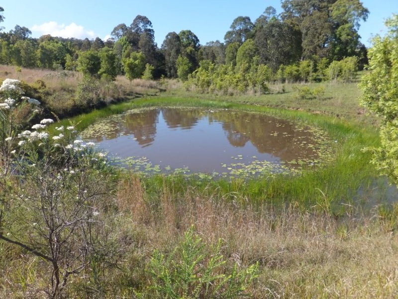 Photo - Lot 174/20 East Bank Road, Nana Glen NSW 2450 - Image 3