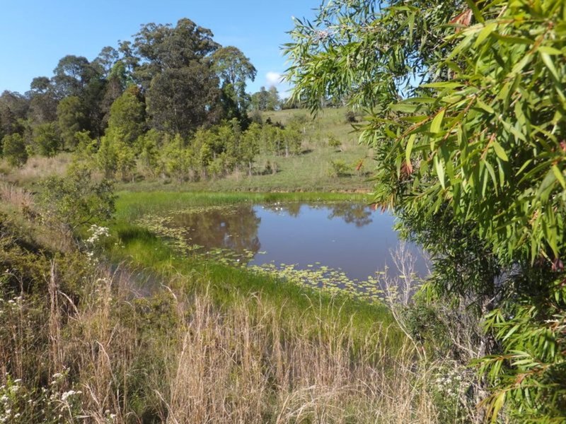 Photo - Lot 174/20 East Bank Road, Nana Glen NSW 2450 - Image 5