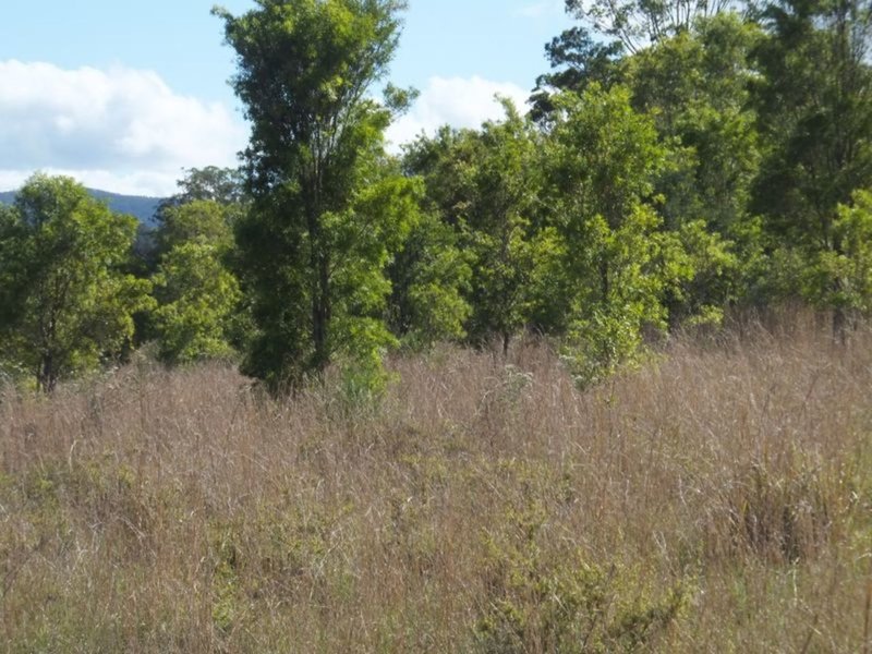 Photo - Lot 174/20 East Bank Road, Nana Glen NSW 2450 - Image 7