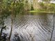 Photo - Lot 175 Freshwater Court, Deepwater QLD 4674 - Image 1