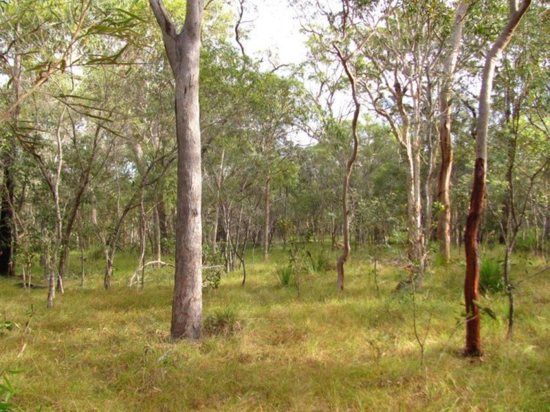 Photo - Lot 175 Freshwater Court, Deepwater QLD 4674 - Image 3