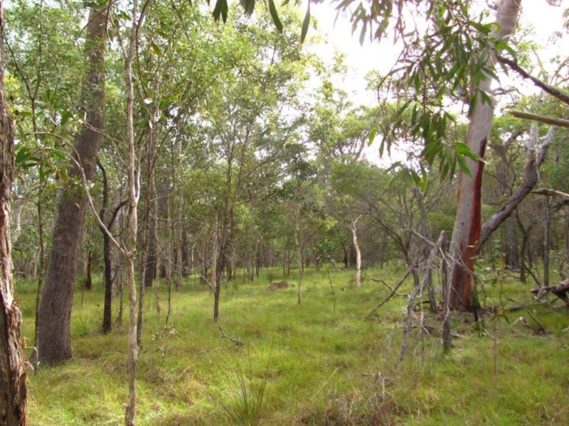 Photo - Lot 175 Freshwater Court, Deepwater QLD 4674 - Image 6