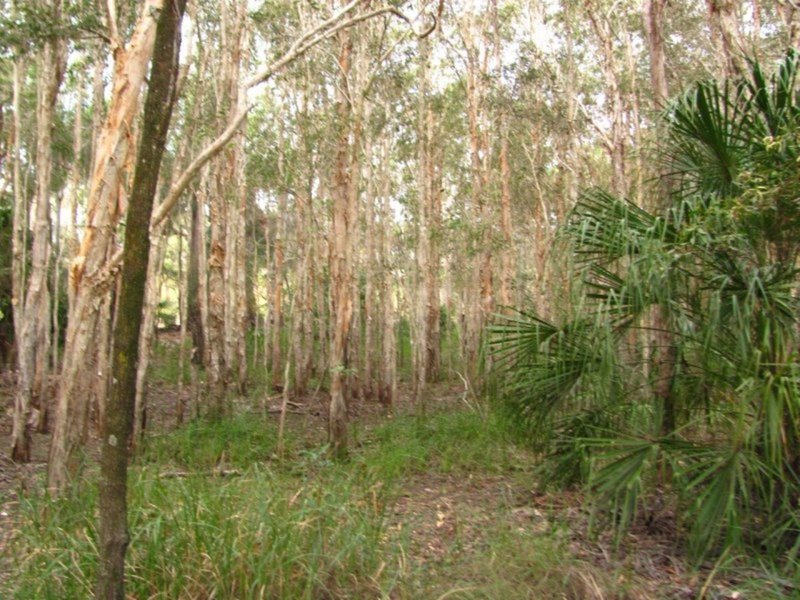 Photo - Lot 175 Freshwater Court, Deepwater QLD 4674 - Image 9