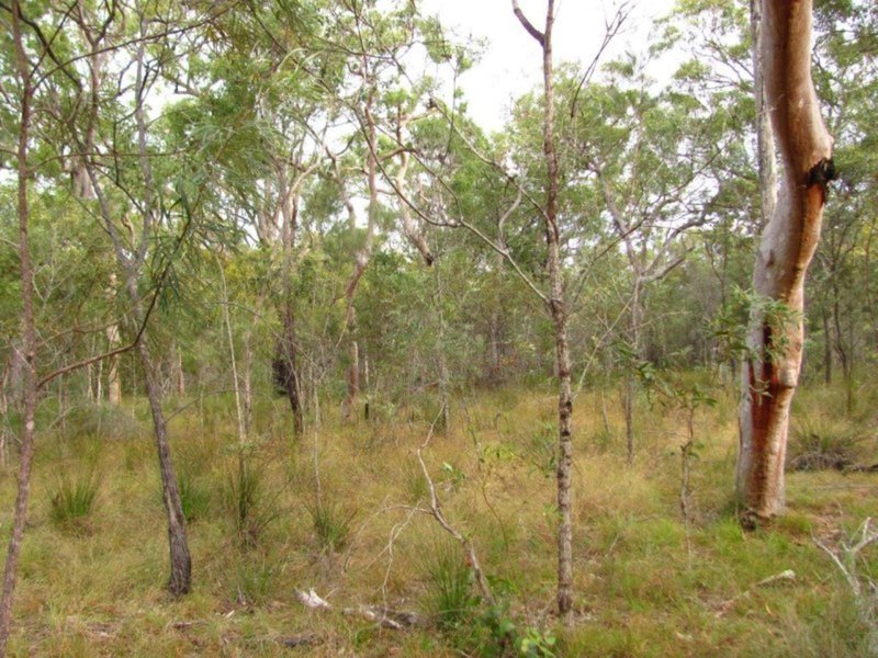 Photo - Lot 175 Freshwater Court, Deepwater QLD 4674 - Image 12