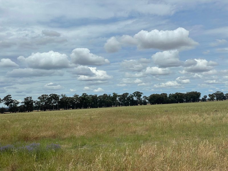 Photo - Lot 1/7509 Burley Griffin Way, Temora NSW 2666 - Image 4