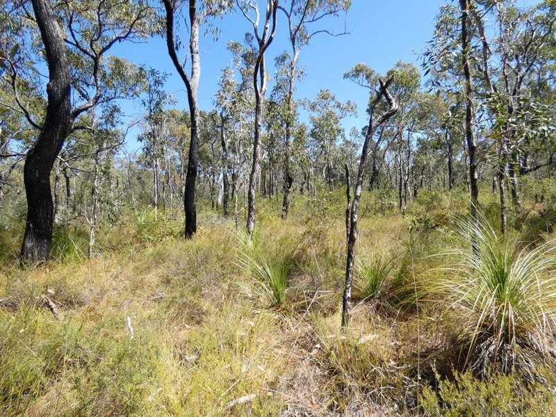 Photo - Lot 178 Oceania Court, Deepwater QLD 4674 - Image 2