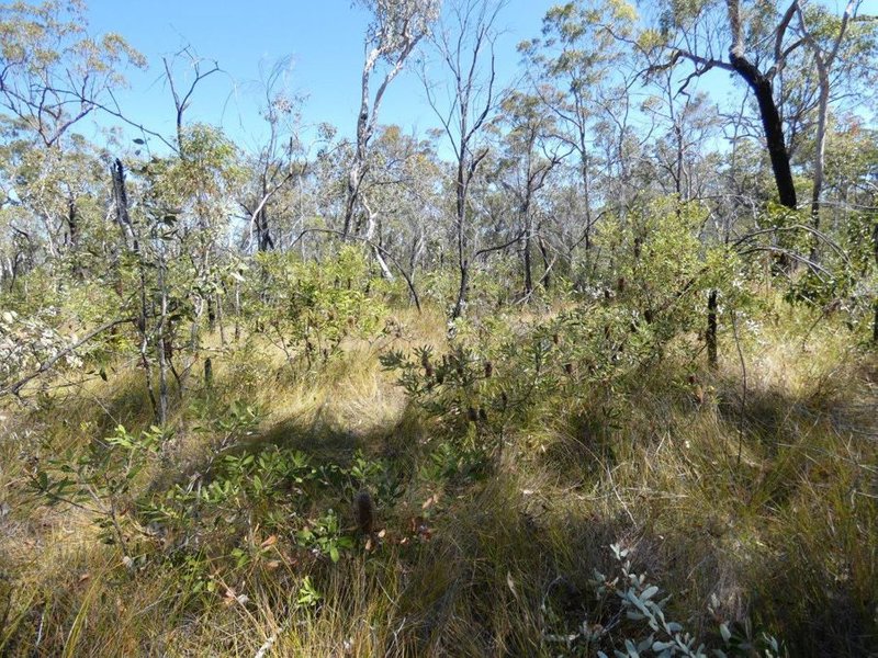 Photo - Lot 178 Oceania Court, Deepwater QLD 4674 - Image 3