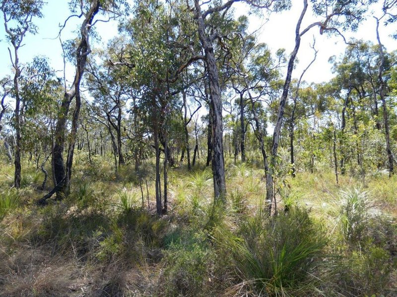 Photo - Lot 178 Oceania Court, Deepwater QLD 4674 - Image 6