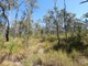 Photo - Lot 178 Oceania Court, Deepwater QLD 4674 - Image 13