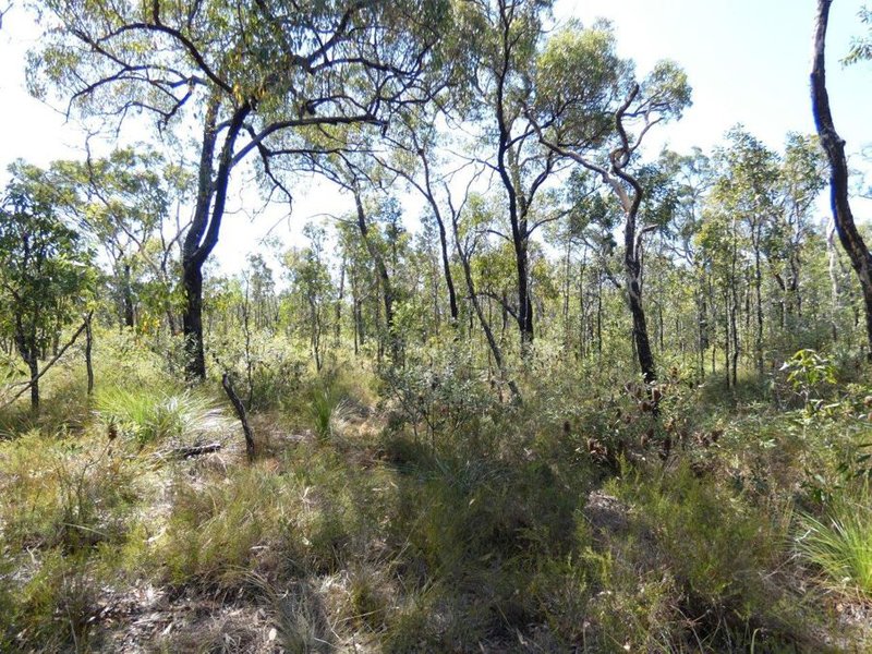 Photo - Lot 178 Oceania Court, Deepwater QLD 4674 - Image 15