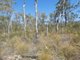 Photo - Lot 178 Oceania Court, Deepwater QLD 4674 - Image 16