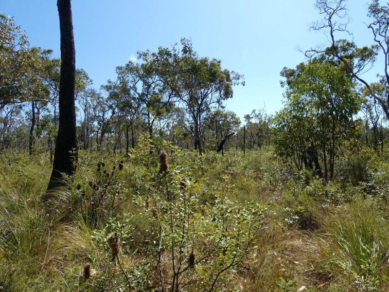 Photo - Lot 178 Oceania Court, Deepwater QLD 4674 - Image 25