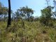 Photo - Lot 178 Oceania Court, Deepwater QLD 4674 - Image 25