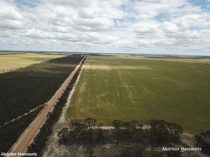 Photo - Lot 1798 Bowra Road, Needilup WA 6336 - Image 2