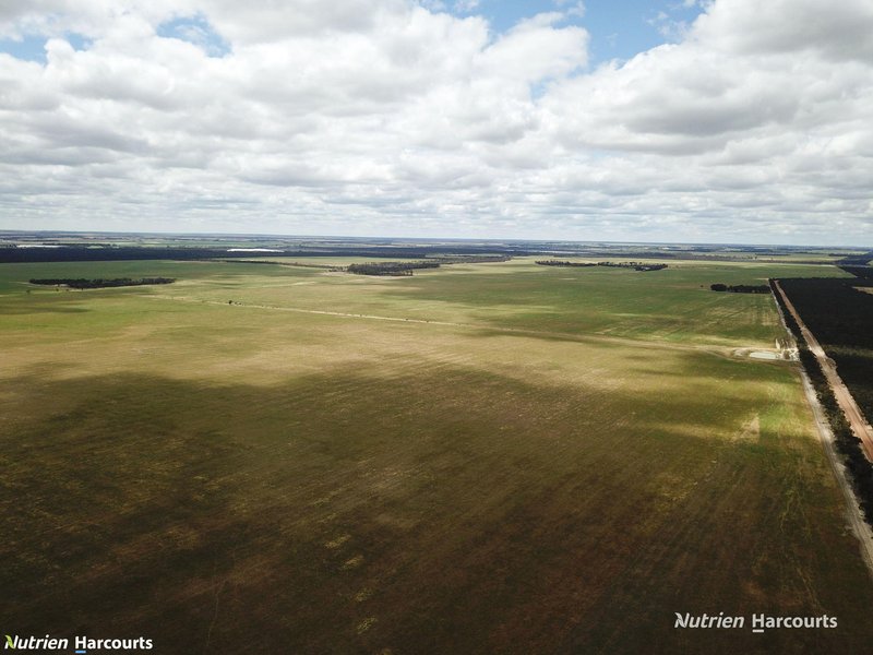 Photo - Lot 1798 Bowra Road, Needilup WA 6336 - Image 4