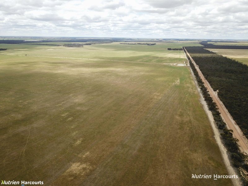 Photo - Lot 1798 Bowra Road, Needilup WA 6336 - Image 5