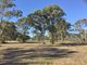 Photo - Lot 18 Janine Street, Booral QLD 4655 - Image 1