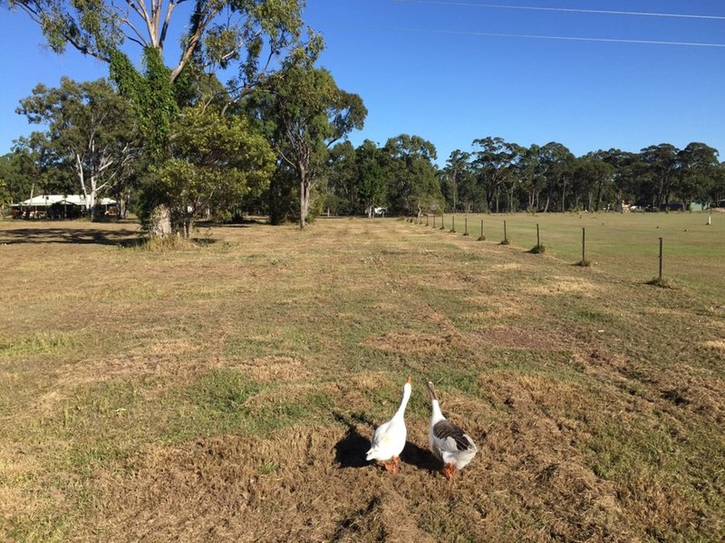 Photo - Lot 18 Janine Street, Booral QLD 4655 - Image 5