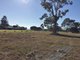 Photo - Lot 18 Janine Street, Booral QLD 4655 - Image 6