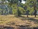 Photo - Lot 18 Janine Street, Booral QLD 4655 - Image 8