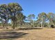 Photo - Lot 18 Janine Street, Booral QLD 4655 - Image 11