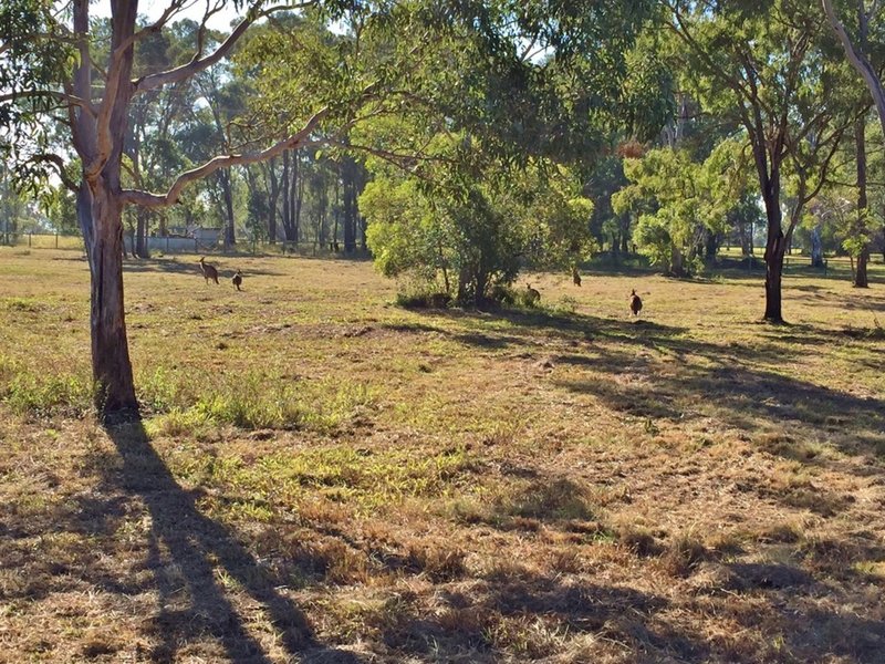 Photo - Lot 18 Janine Street, Booral QLD 4655 - Image 14