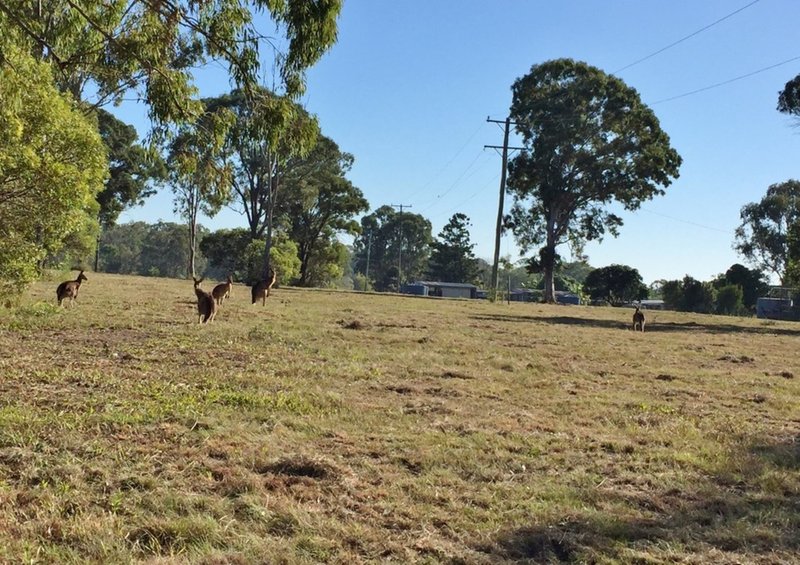 Photo - Lot 18 Janine Street, Booral QLD 4655 - Image 15