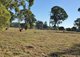 Photo - Lot 18 Janine Street, Booral QLD 4655 - Image 15