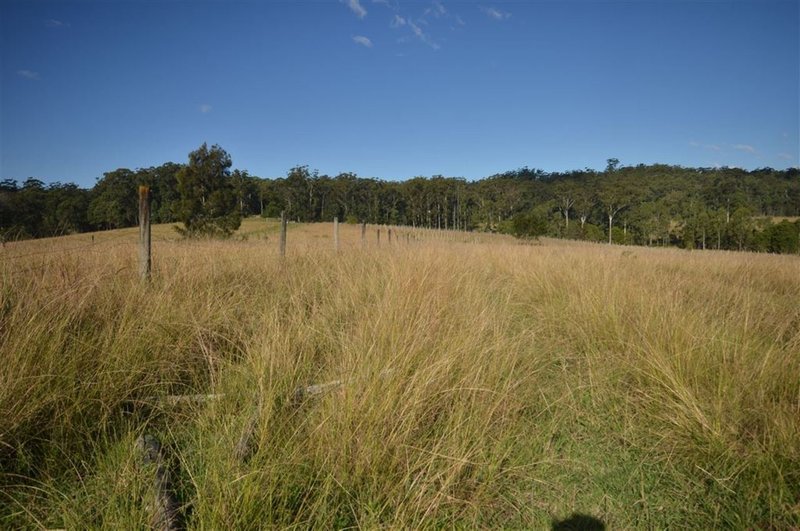 Photo - Lot 18 Le Clos Sancrox Dp 776681 , Sancrox NSW 2446 - Image 4