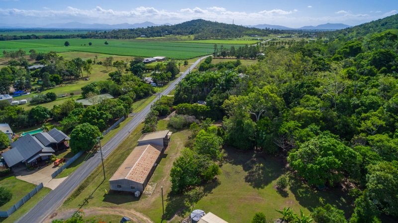 Photo - Lot 18 Wrights Road, Strathdickie QLD 4800 - Image 9