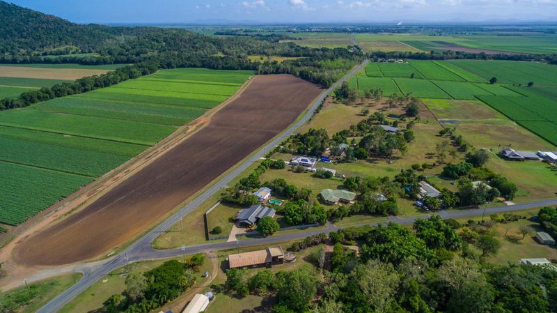 Photo - Lot 18 Wrights Road, Strathdickie QLD 4800 - Image 10