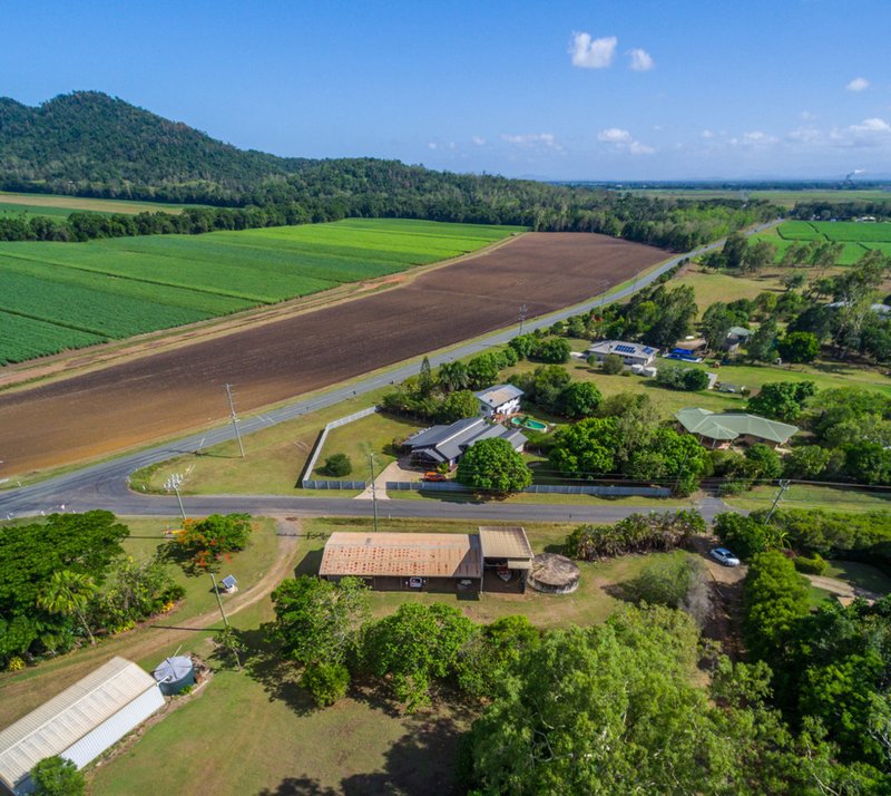 Photo - Lot 18 Wrights Road, Strathdickie QLD 4800 - Image 13