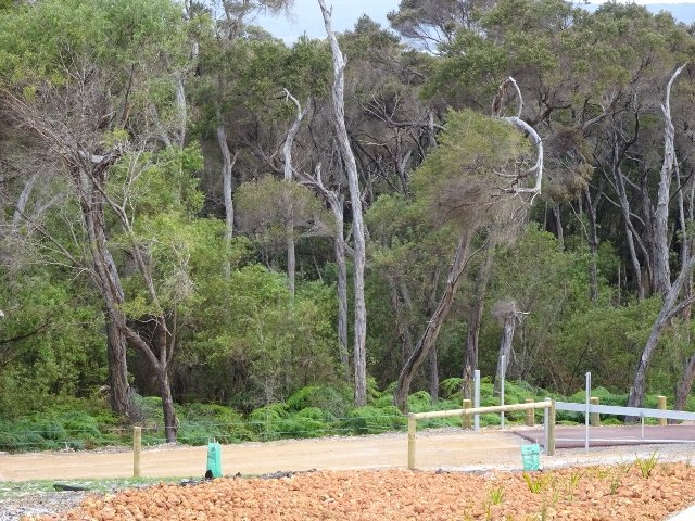 Photo - Lot 181 Beaufortia Gardens, Denmark WA 6333 - Image 3