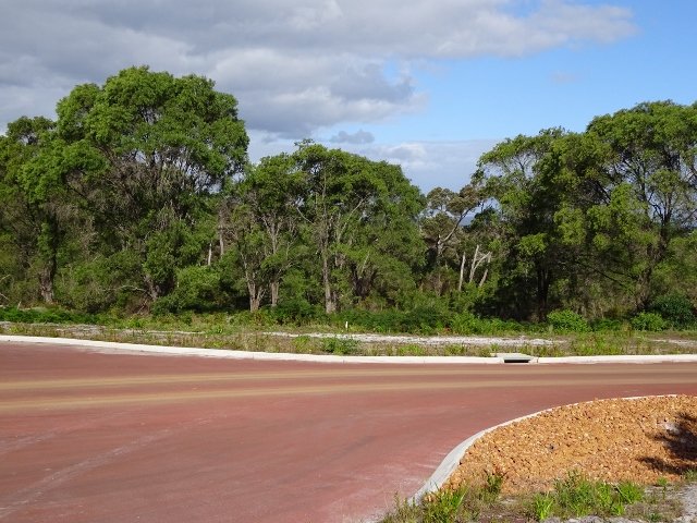 Photo - Lot 181 Beaufortia Gardens, Denmark WA 6333 - Image 4