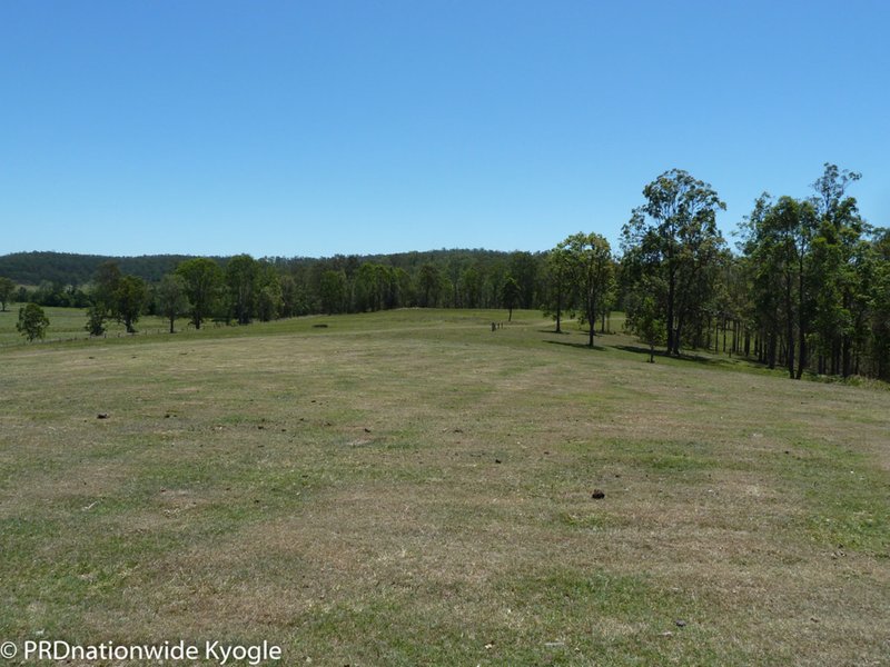 Photo - Lot 181 Old Dyraaba Road, Old Dyraaba Via , Kyogle NSW 2474 - Image 19