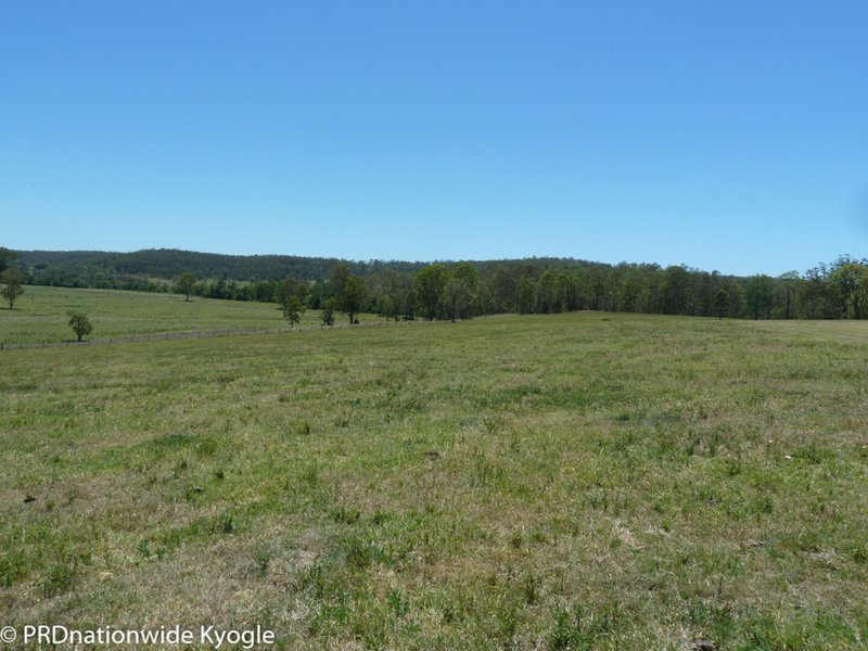 Photo - Lot 181 Old Dyraaba Road, Old Dyraaba Via , Kyogle NSW 2474 - Image 20