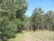 Photo - Lot 182 Winfield Road, Winfield QLD 4670 - Image 9