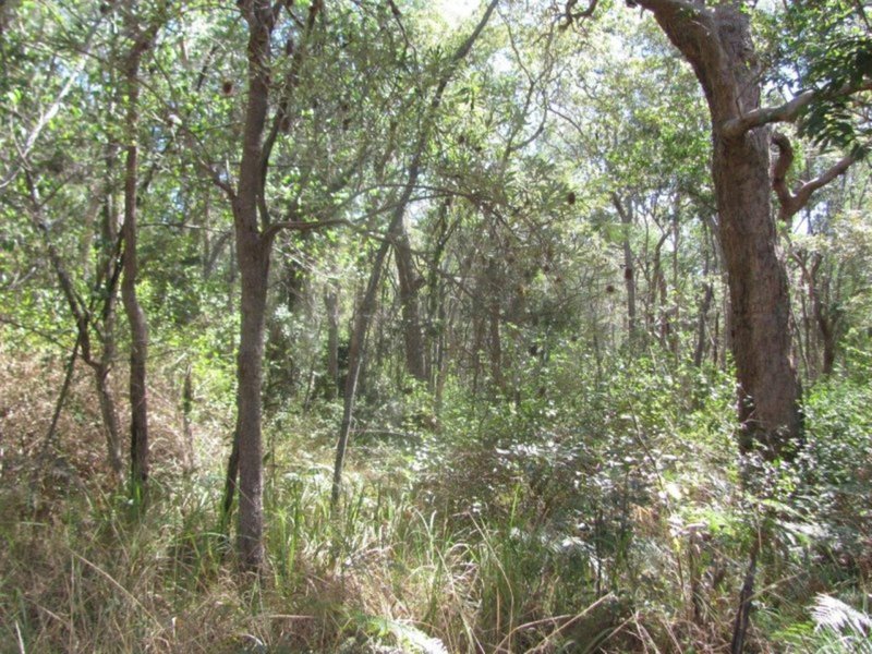 Photo - Lot 182 Winfield Road, Winfield QLD 4670 - Image 12