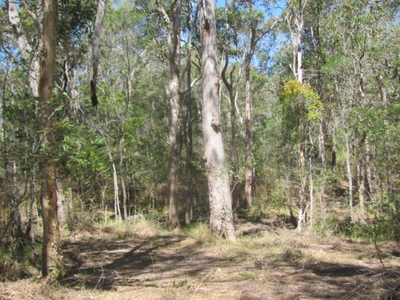 Photo - Lot 182 Winfield Road, Winfield QLD 4670 - Image 22