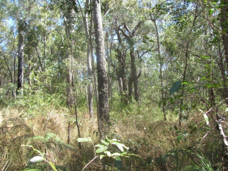 Photo - Lot 182 Winfield Road, Winfield QLD 4670 - Image 25