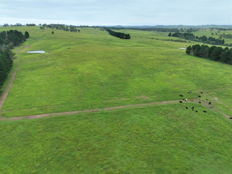 Photo - Lot 18/254 Losebys Road Big Hill, Marulan NSW 2579 - Image 12