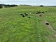 Photo - Lot 18/254 Losebys Road Big Hill, Marulan NSW 2579 - Image 15