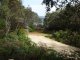 Photo - Lot 183 Beaufortia Gardens, Denmark WA 6333 - Image 8