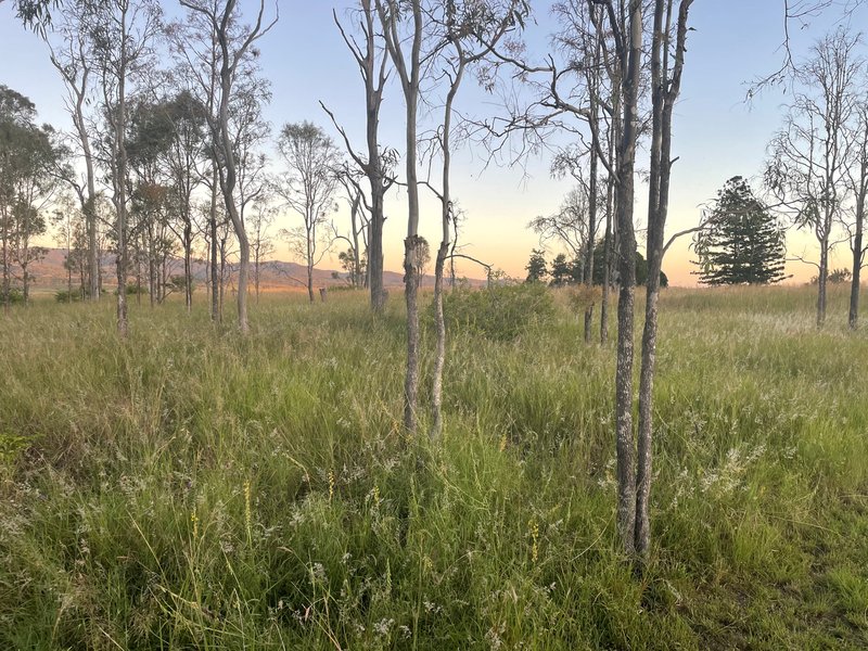 Photo - Lot 185 Wivenhoe Somerset Road, Bryden QLD 4312 - Image 3