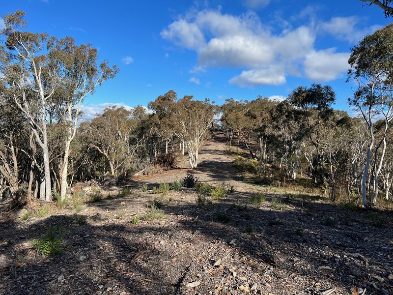 Photo - Lot 189 Marble Hill Road, Goulburn NSW 2580 - Image 6