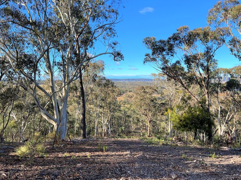 Photo - Lot 189 Marble Hill Road, Goulburn NSW 2580 - Image 7