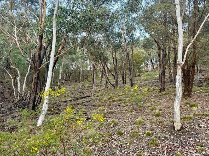 Photo - Lot 189 Marble Hill Road, Goulburn NSW 2580 - Image 8