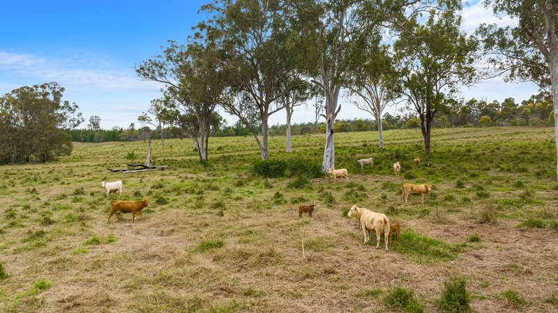 Photo - Lot 189 Windsor Drive, Mount Hallen QLD 4312 - Image 25