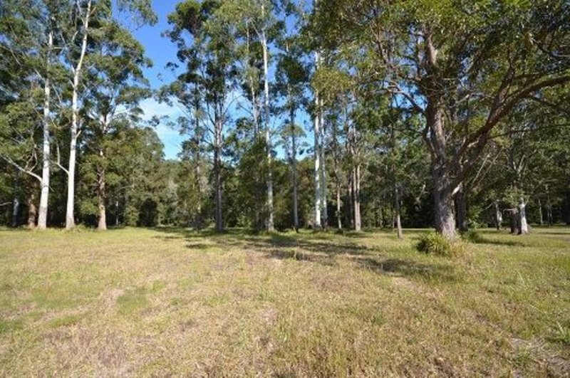 Photo - Lot 19 Oak Ridge Road, King Creek NSW 2446 - Image 9